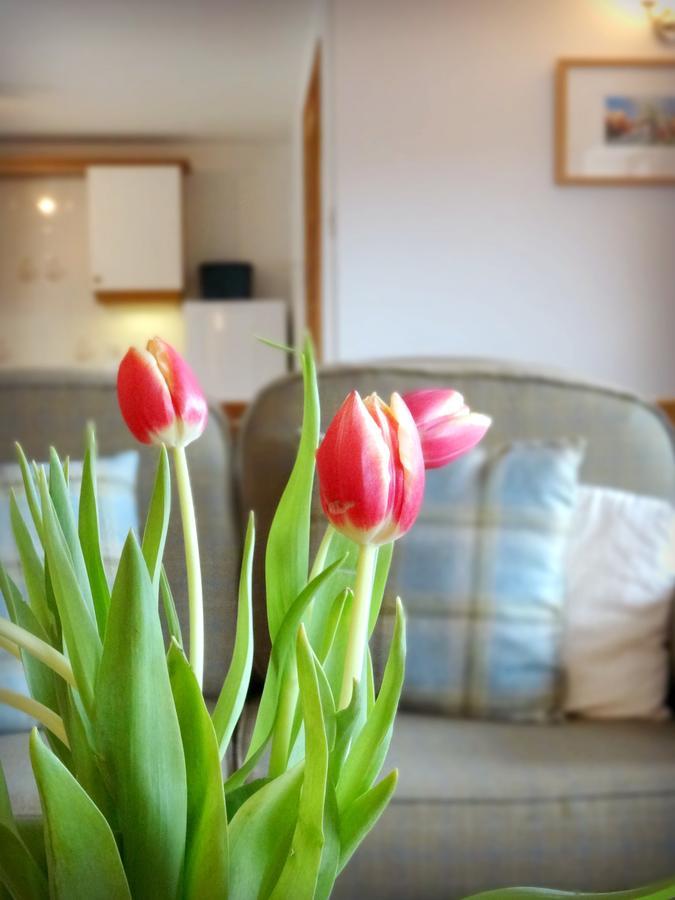 Carden Holiday Cottages - Elgin Crook of Alves Екстер'єр фото